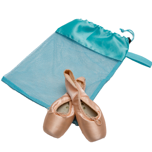 Horizon Dance Mint Mesh Pointe Shoe Bag